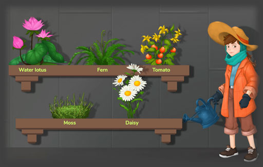 State where spores can be found on some non-flowering plants