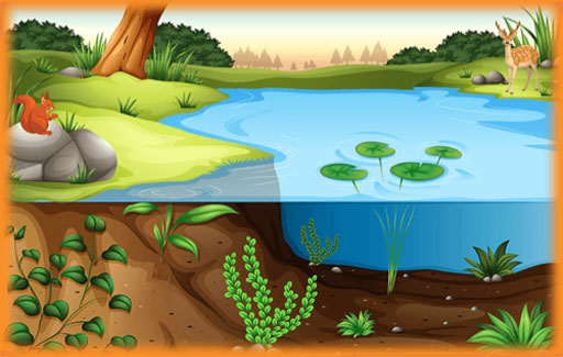 Infer the environmental conditions needed for known organisms and Suggest the specific changes in any of these conditions that could affect the population of these organisms.