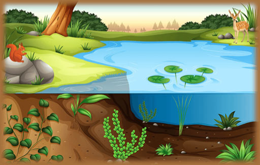 Infer the environmental conditions needed for known organisms and Match these organisms to specific habitats, based on information of the abiotic factors in these habitats.