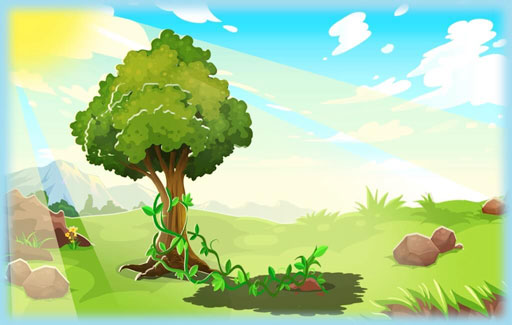 Give reasons, based on evidence from pictures / diagrams , for plants with weak stems climbing on other plants or structures.