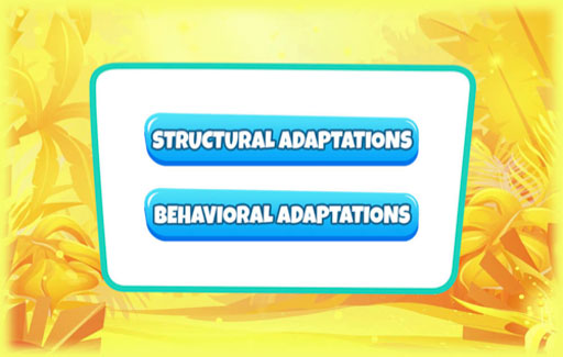 Apply cross cutting concept: Structure-&-function to Infer, based on the design of the food source or the environment and the role of an organism in the food chain (eg. predator or primary consumer), the structural design of an animal to help it obtain food in its habitat.