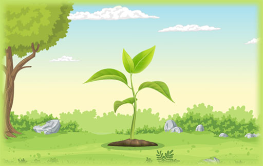 Identify on a diagram of a plant cell, the part in which photosynthesis takes place.