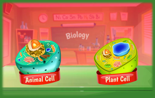 Apply knowledge of structural differences between plant and animal cells to Infer, from diagrams of unknown cells, if each cell is a plant or an animal cell and the identity of a highlighted part of the cells.