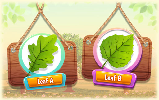 Identify on a diagram three or more parts of a leaf.