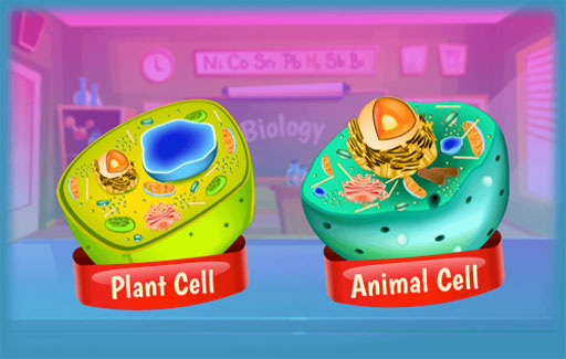 Identify on a diagram of an unknown cell, the cell parts, functions and in which type of cells (plant or animal) where they are found.