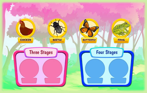 Identify organisms that have 3-stage or 4-stage life cycles