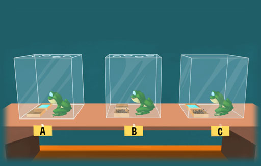 Based on experimental setups, give reasons why living organisms would die / survive under limited food, water and air condition
