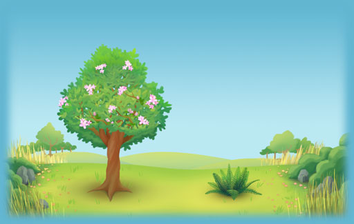 Describe the characteristics of flowering and non-flowering plants