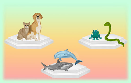 Observe and describe the common physical characteristics of a given group of living things provided.