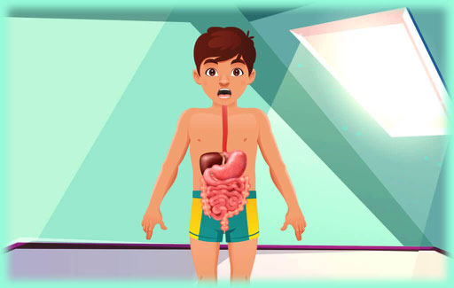 Name the organ, where the absorption of digested food takes place.