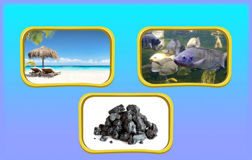 State ways to reduce different forms of pollution in the environment.