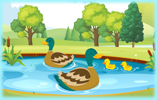 Identify, on a diagram of a water cycle showing the names of the water bodies, the process(es) that causes a change in state for water, without naming the processes..