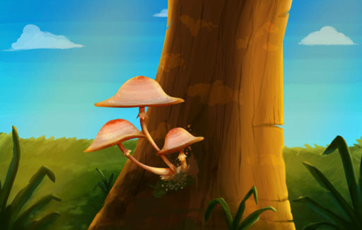State the characteristics that differentiate fungi from other living things such as bacteria, animals and plants